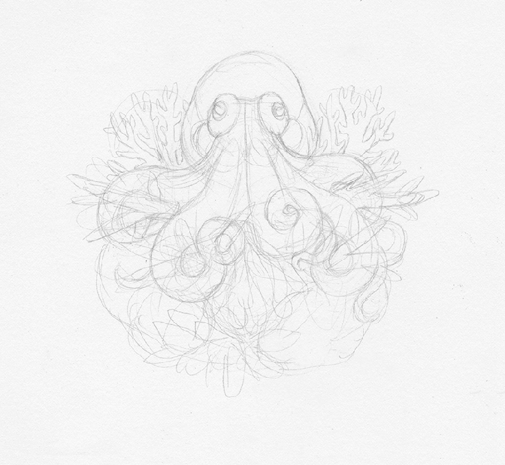 Keller-Timelapse-Octopus.gif
